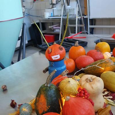 Whatsapp Image 2022 11 24 At 11.23.13